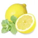 Esencia do pary 5L /  citron
